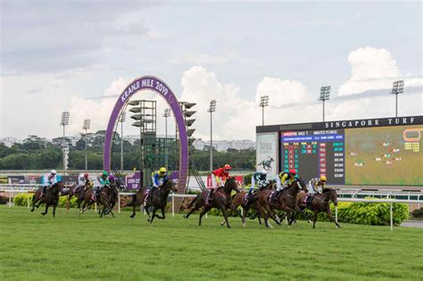 singapore horse racing forum|Racing Fixtures .